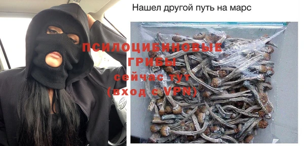 герыч Алексин