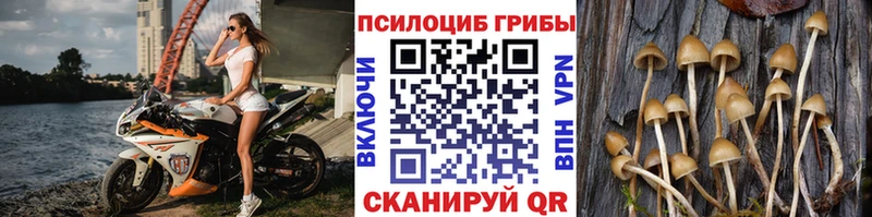 хочу наркоту  кракен как войти  Галлюциногенные грибы Psilocybine cubensis  Ишим 