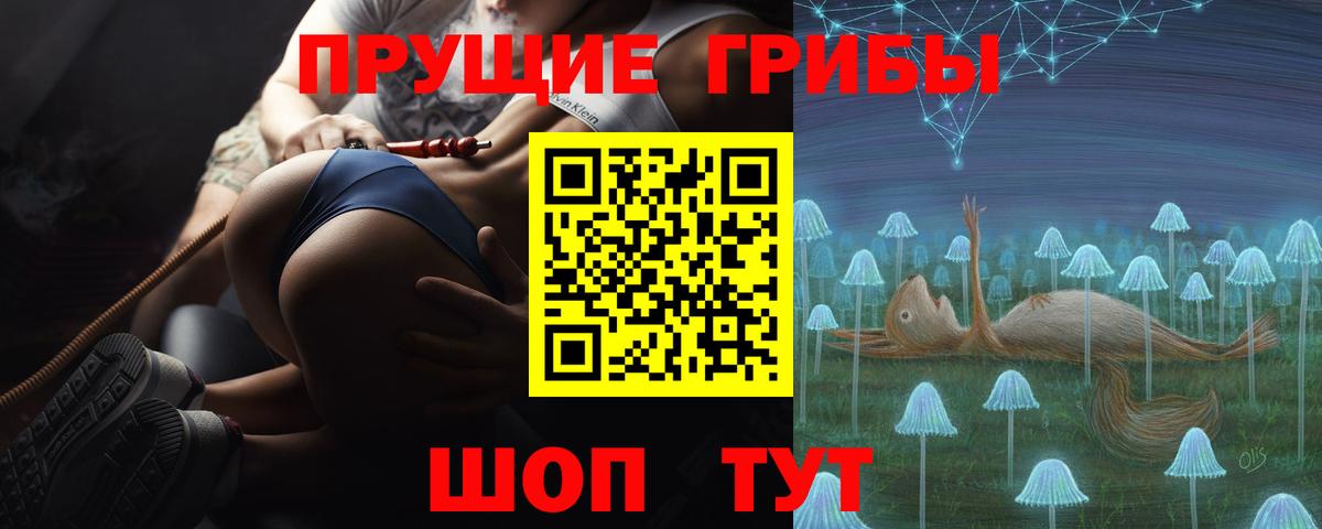 Галлюциногенные грибы Psilocybine cubensis  Вход с VPN  Ишим 